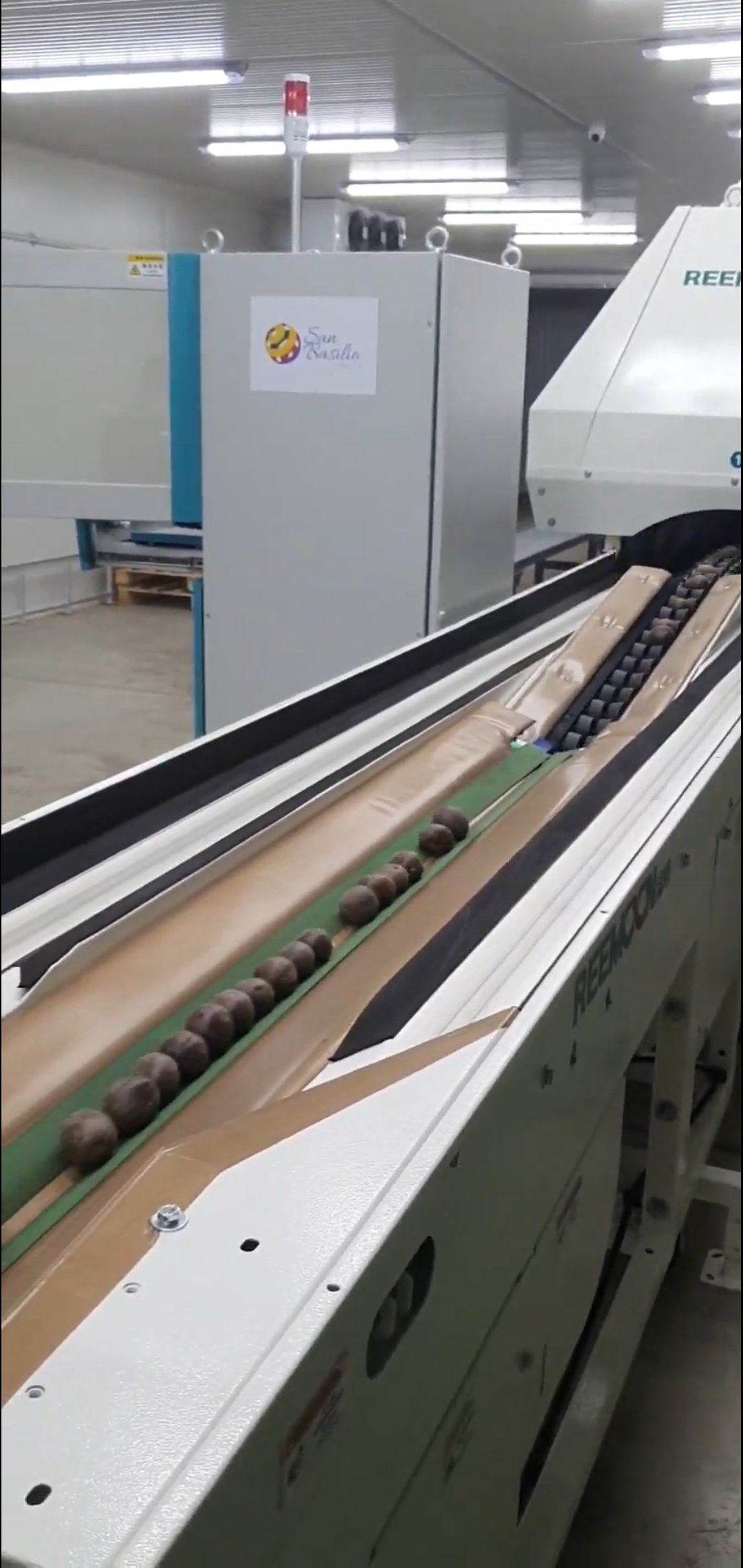 Clasificadora Gulupa